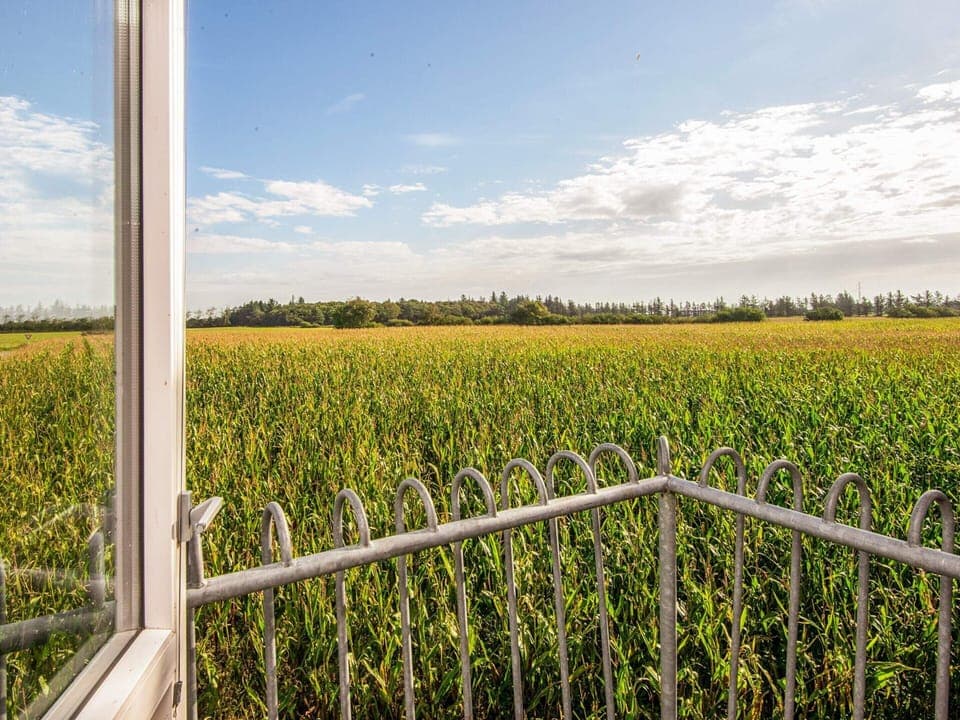 House | View from property