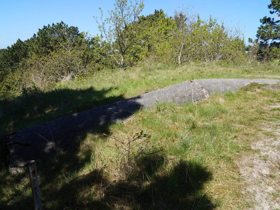 House | Miscellaneous