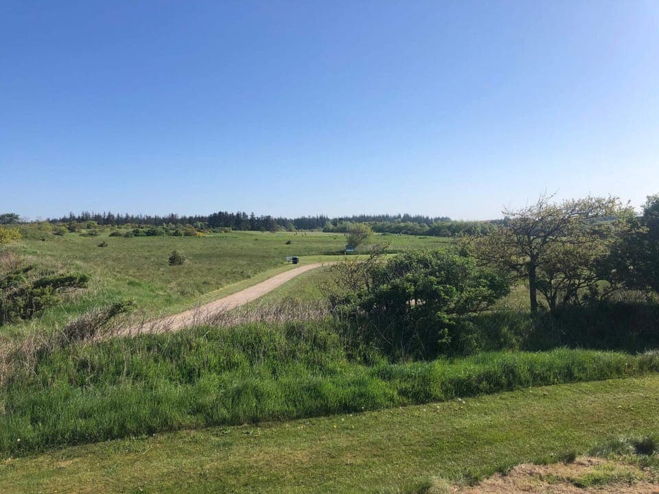 House | Miscellaneous