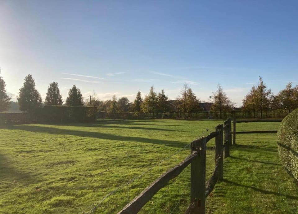 House | View from property