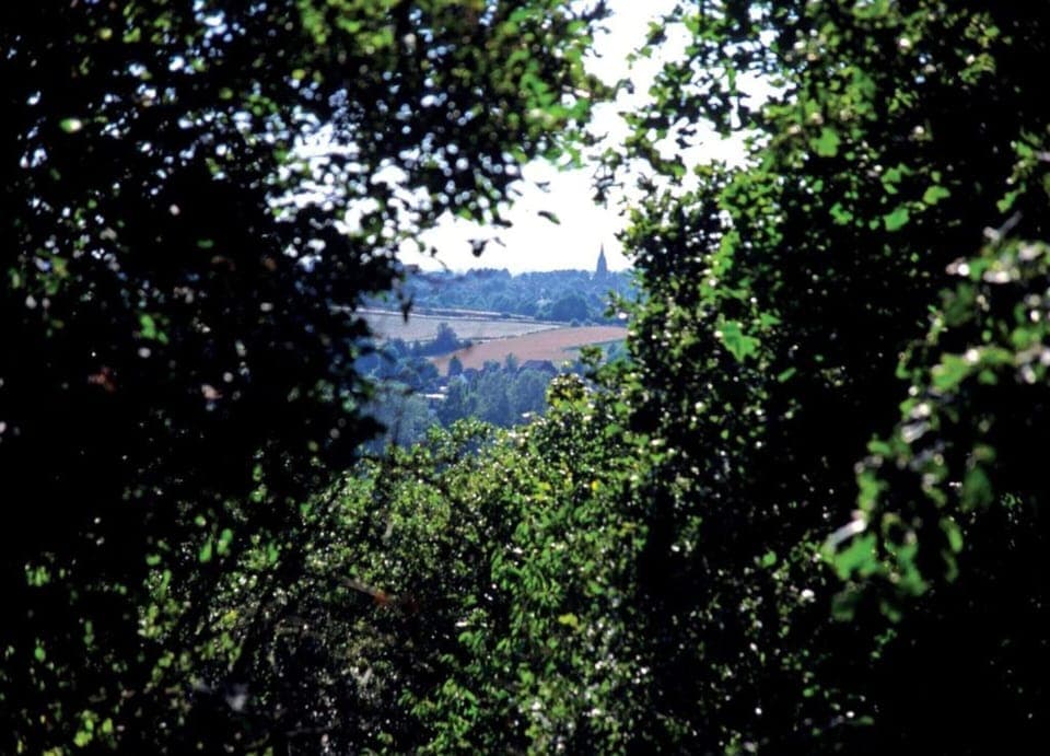 Villa | View from property