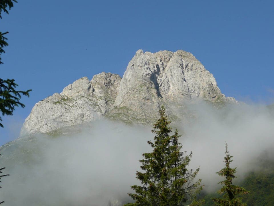 Apartment | View from property