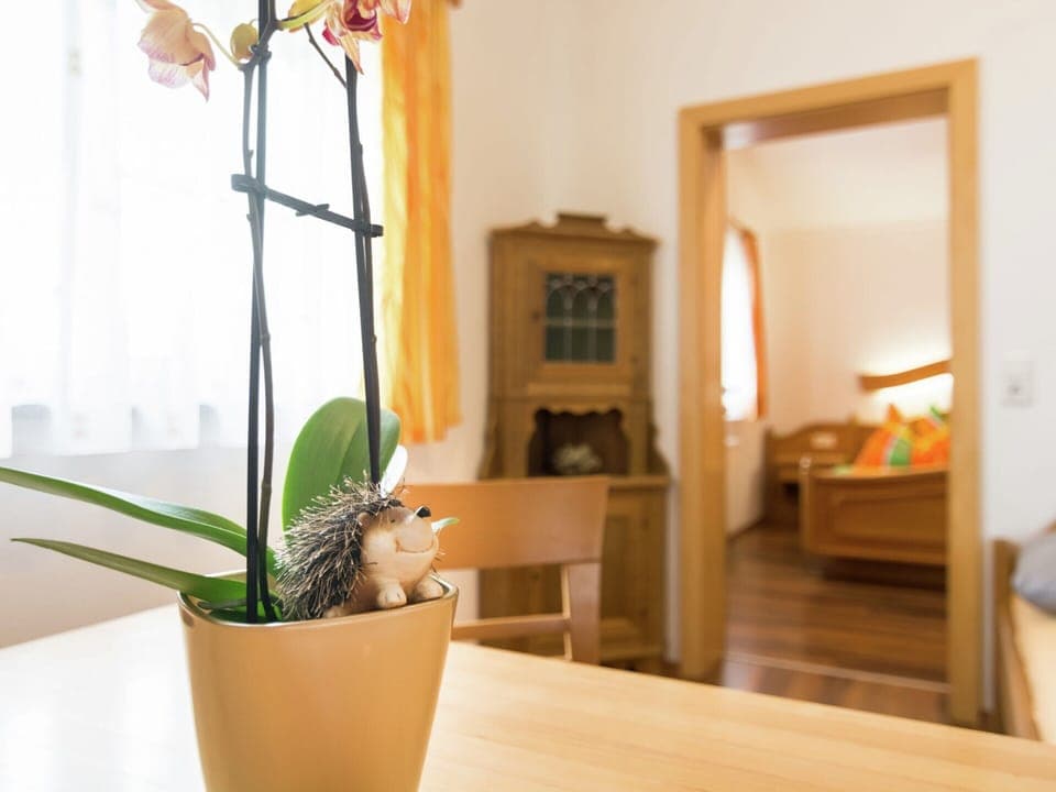 House | Interior detail