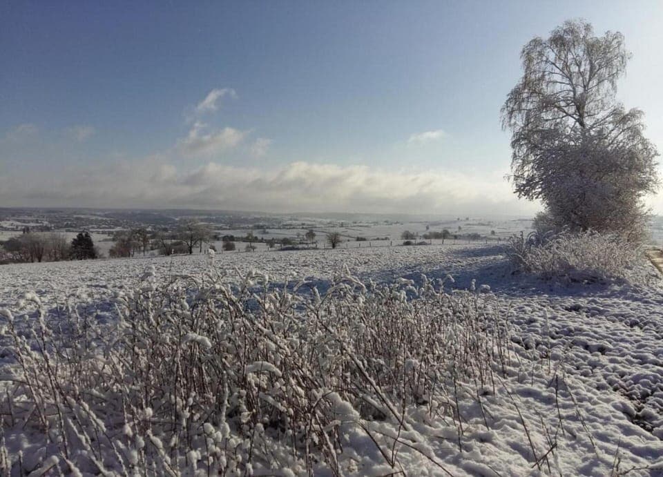 Apartment | View from property