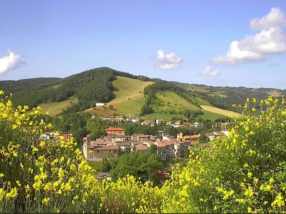 Cottage | View from property