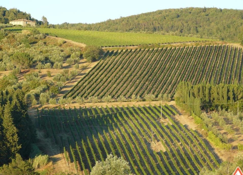 House | View from property