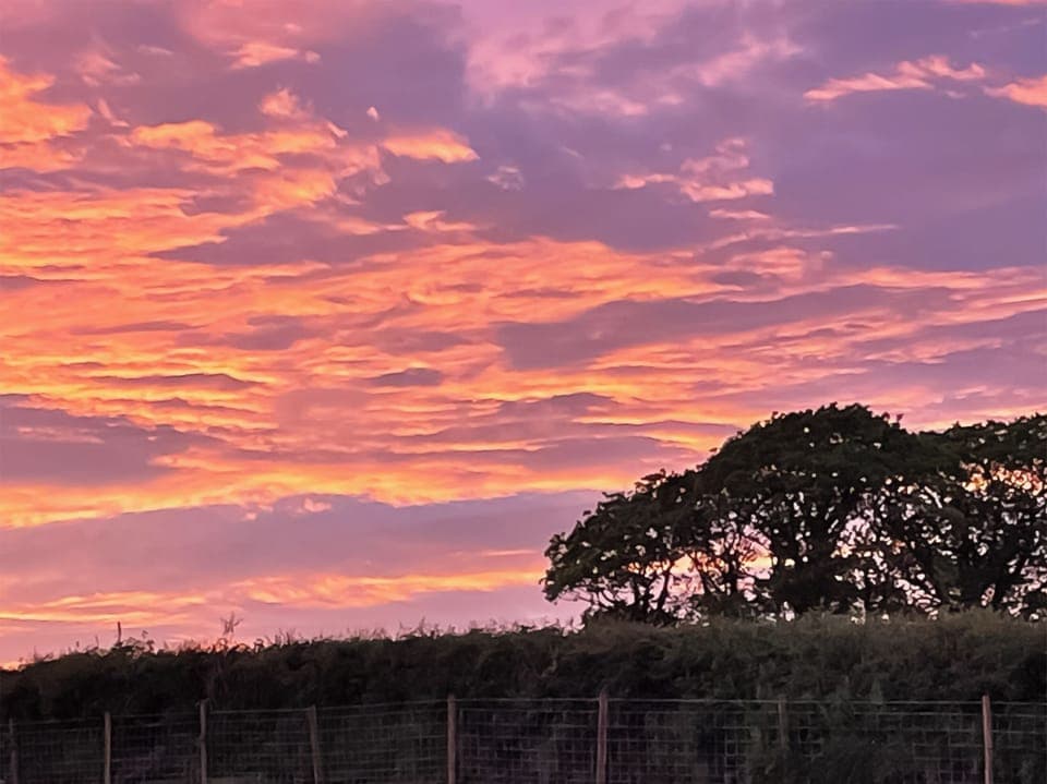 View | Bwthyn Y Bugail, Abercych, near Cardigan
