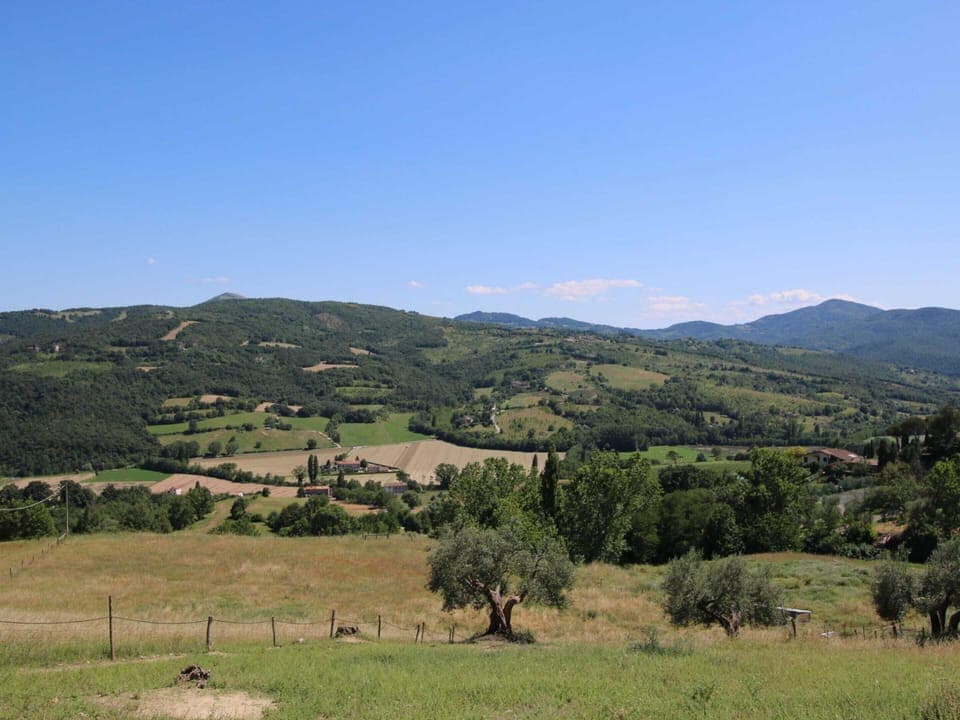 House | View from property