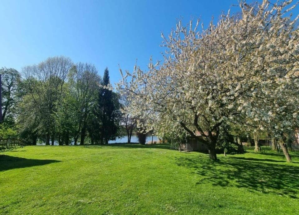 Apartment | View from property