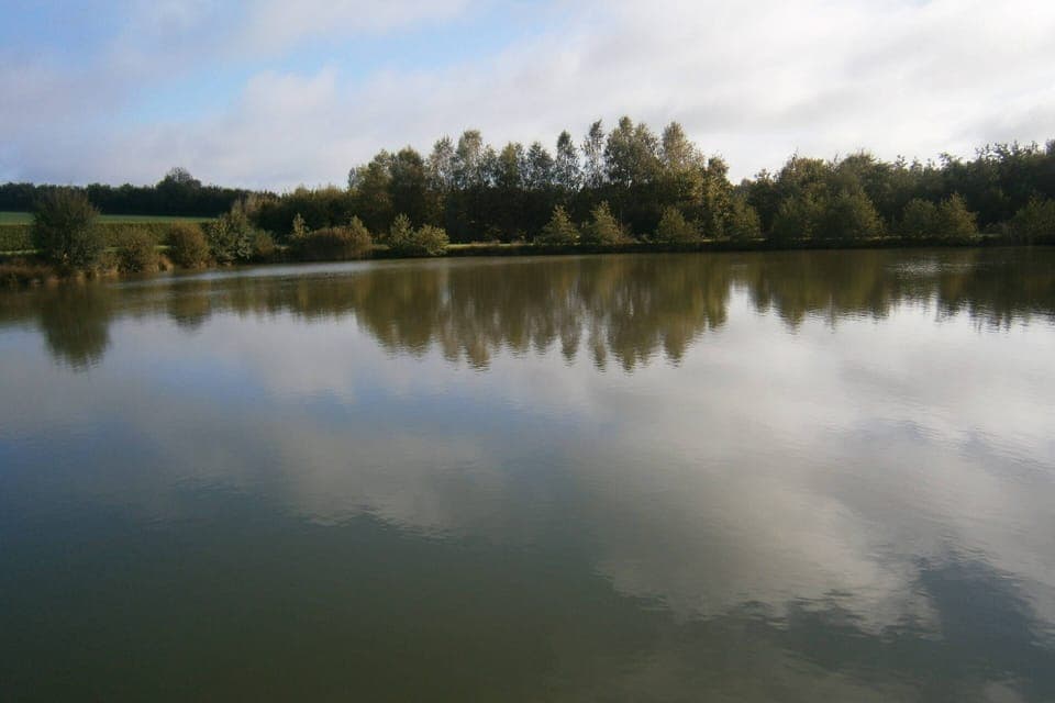 House | View from property