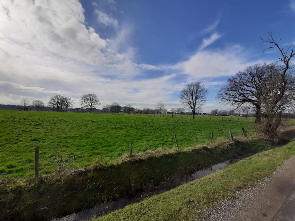 House | View from property