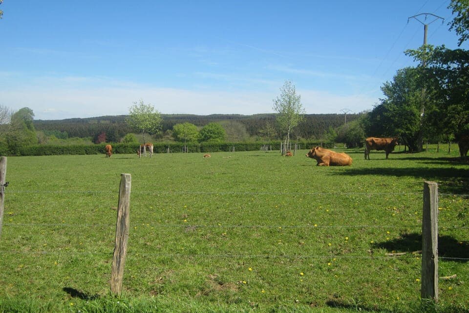 House | View from property