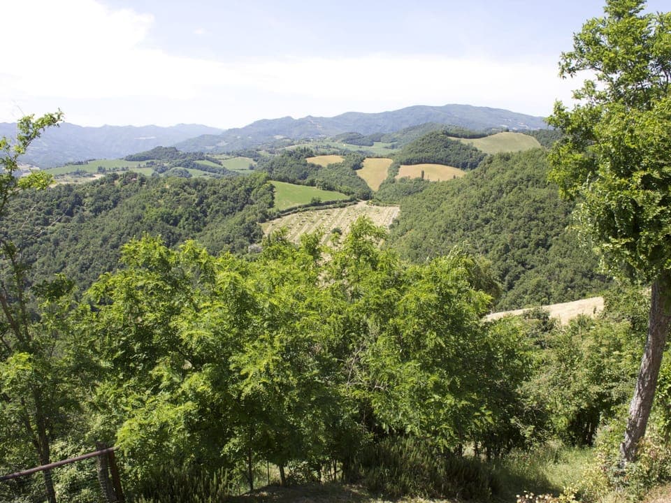 Apartment | View from property