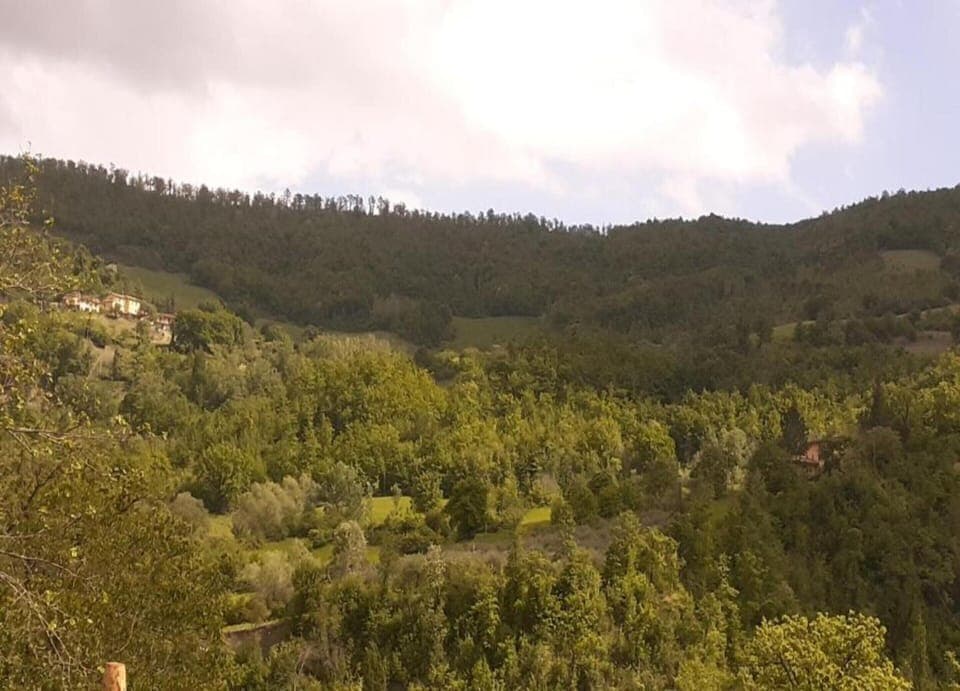 House | View from property