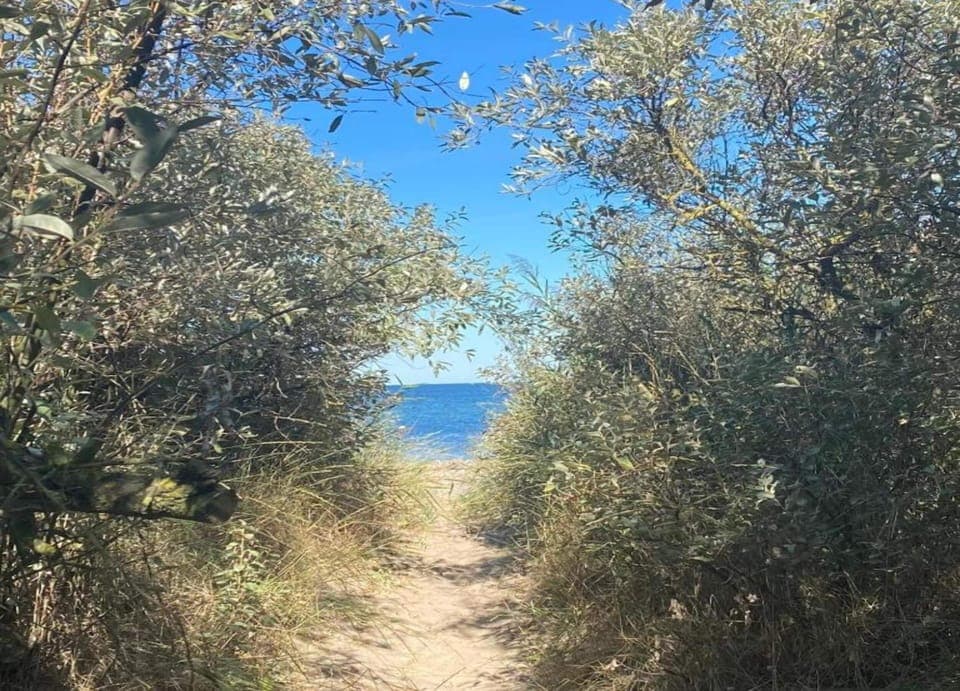 Apartment | View from property