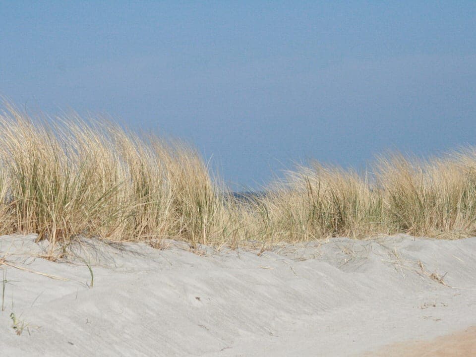 Apartment | View from property