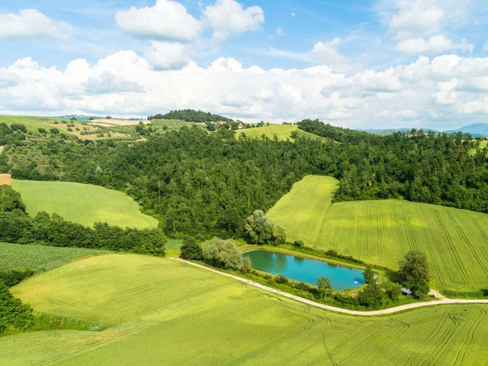 House | View from property