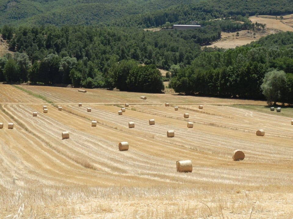 House | View from property