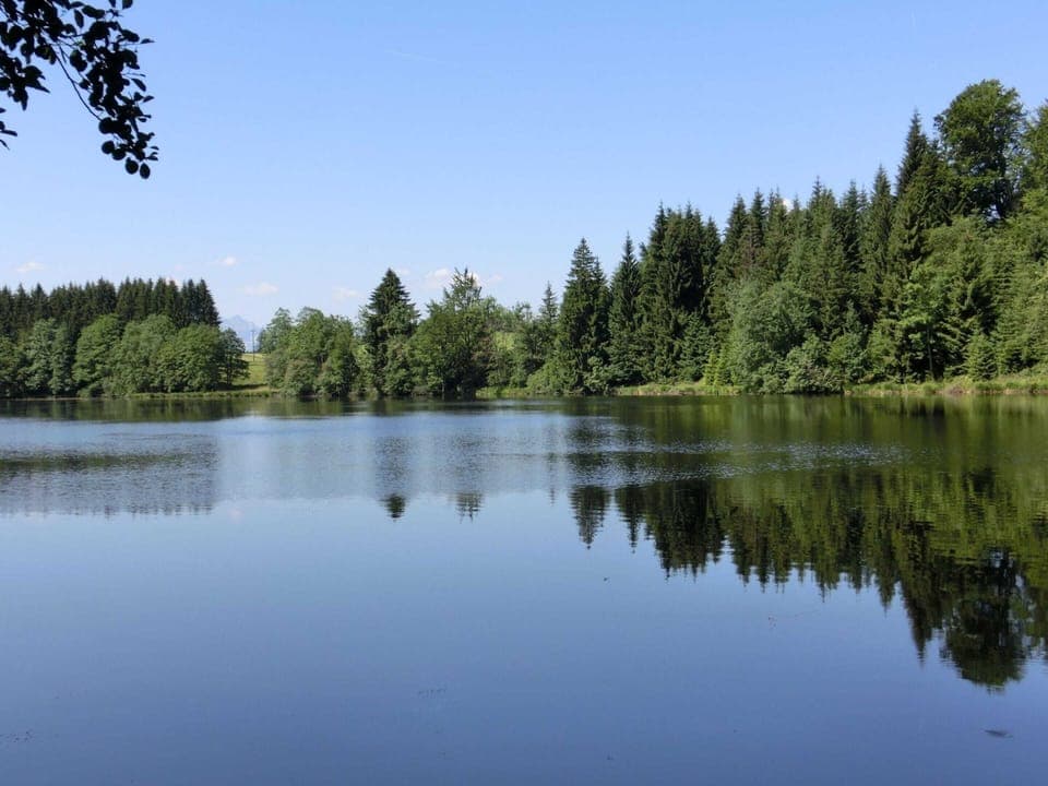 House | View from property