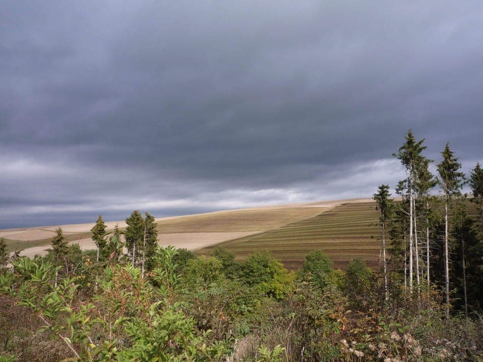 House | View from property