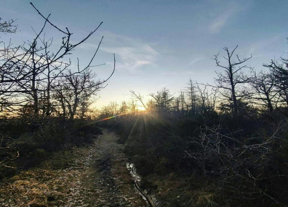 House | View from property