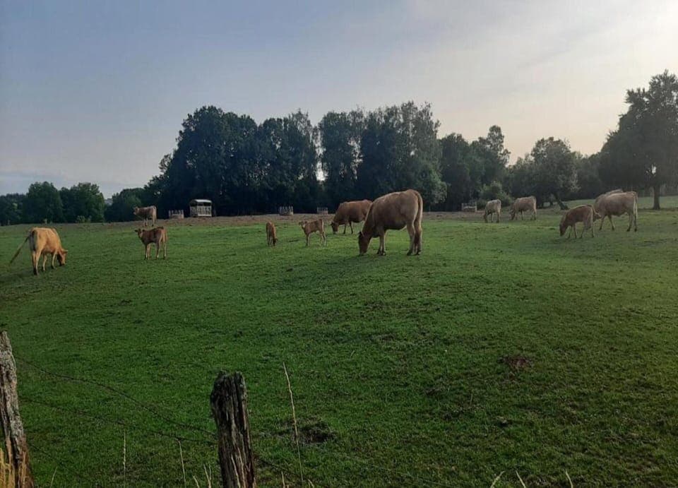 House | View from property