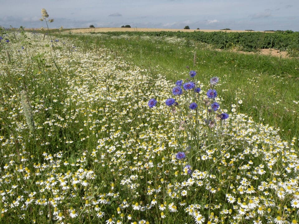 House | Interior detail