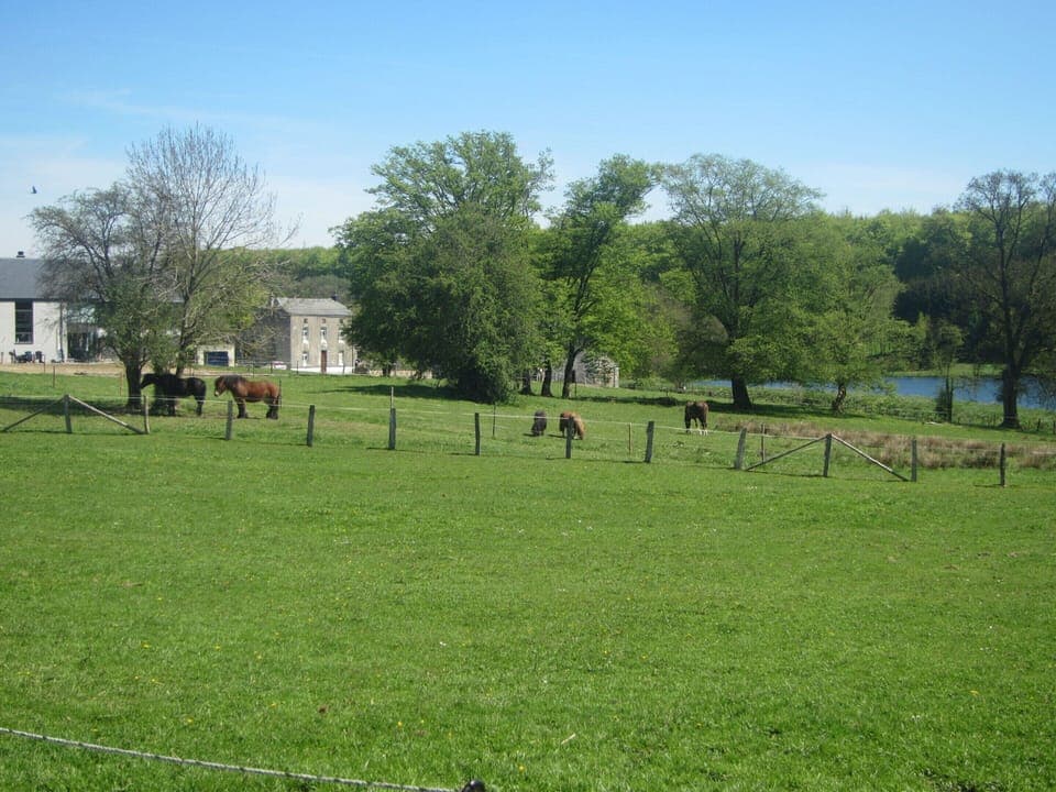 House | View from property