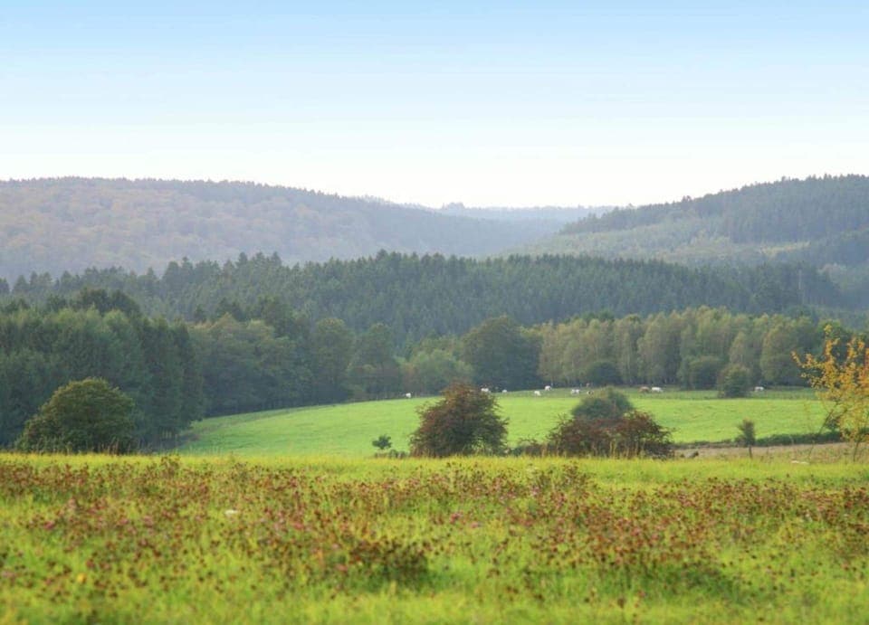 House | View from property