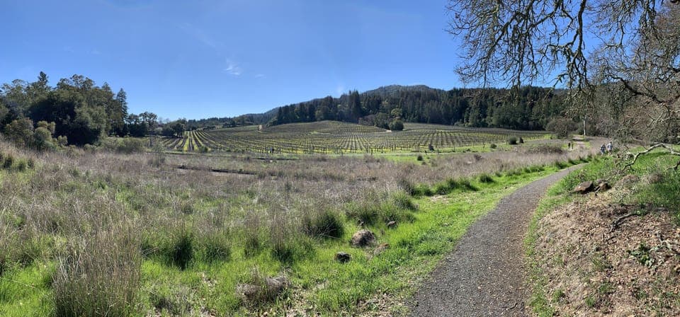 Hiking at nearby Jack London State Park