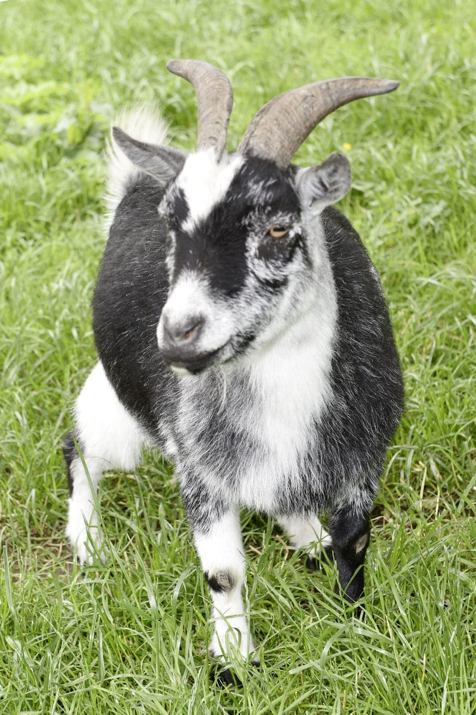 Children's activities