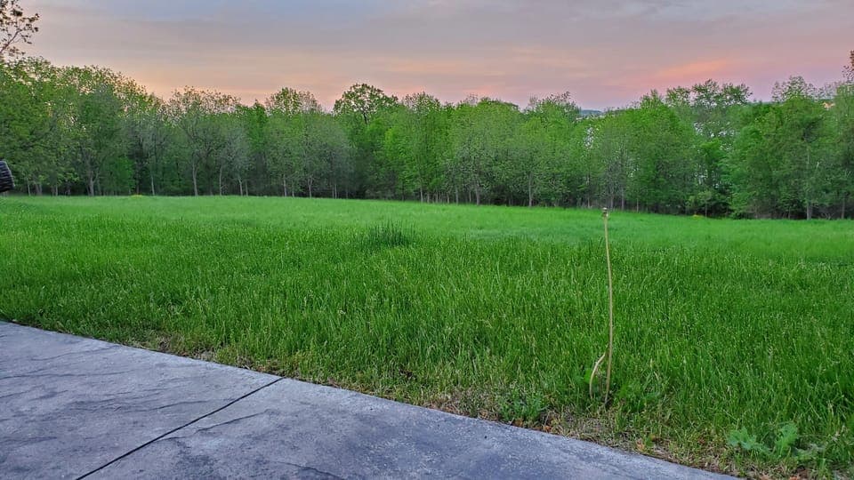 View across the field from in the pool.