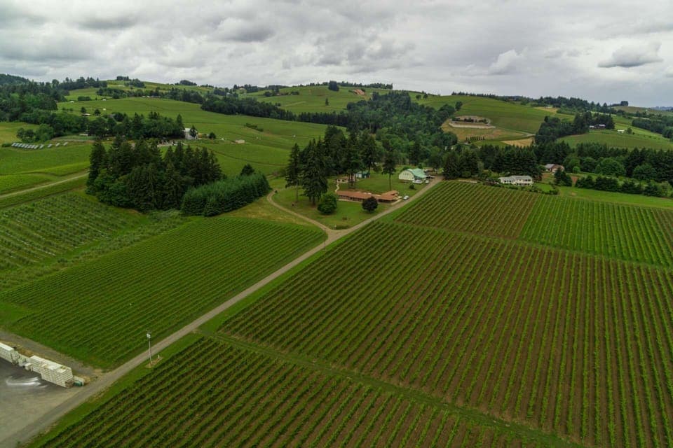 "Beautiful location amongst the vineyards. Check in and check out were easy. I would highly recommend this house for a large party" - J Geoff