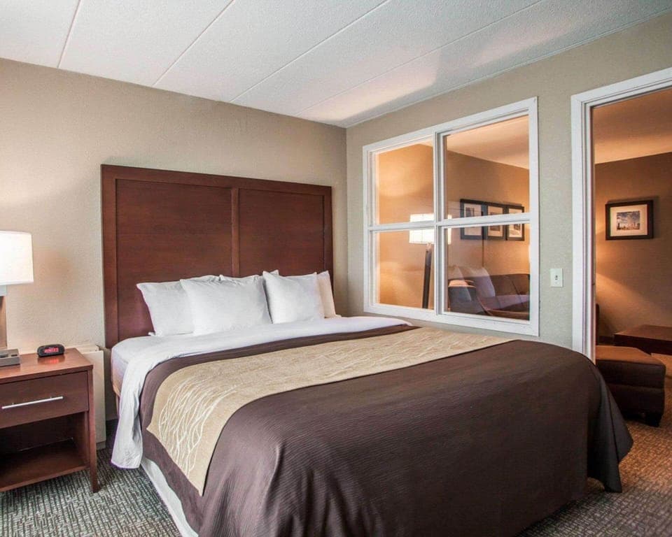 Suite | Desk, soundproofing, iron/ironing board, free cribs/infant beds