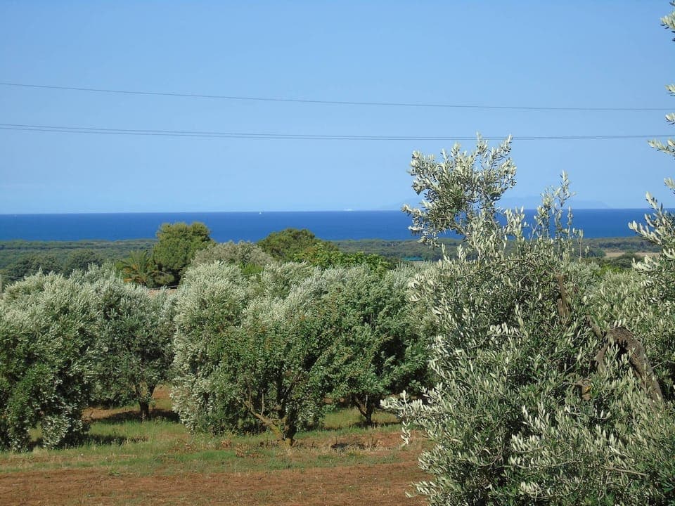 Loft, 2 Bedrooms, Smoking, Balcony | Exterior