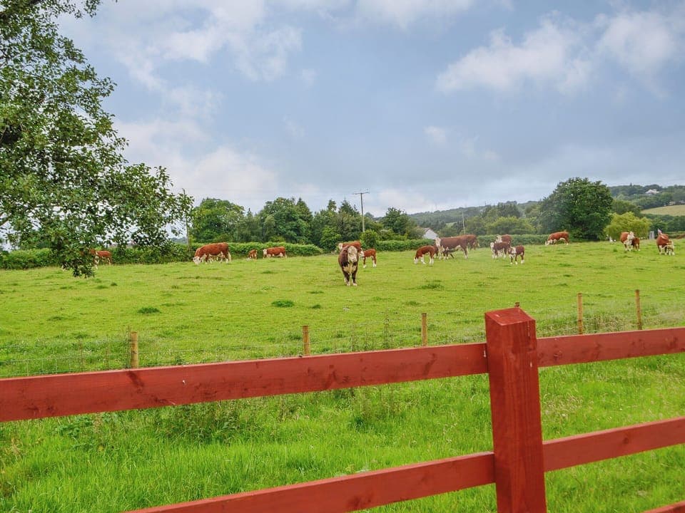 View | Sgubor Llwyndu, Betws, near Ammanford