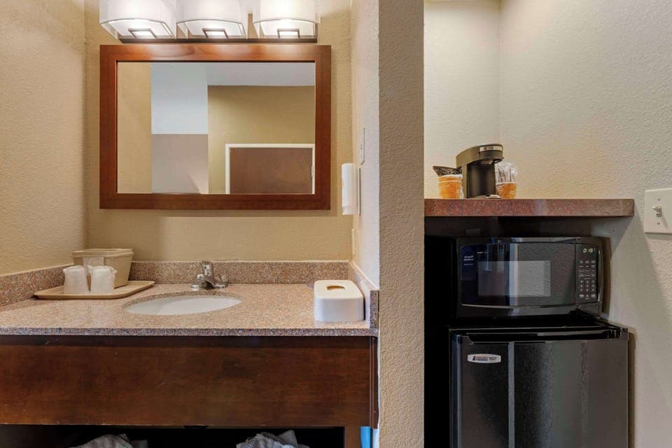 Standard Room, 1 King Bed, Non Smoking | Desk, iron/ironing board, cribs/infant beds, rollaway beds