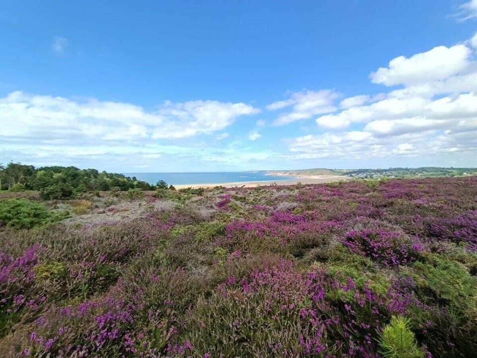 The point of view at 200m from the gîte