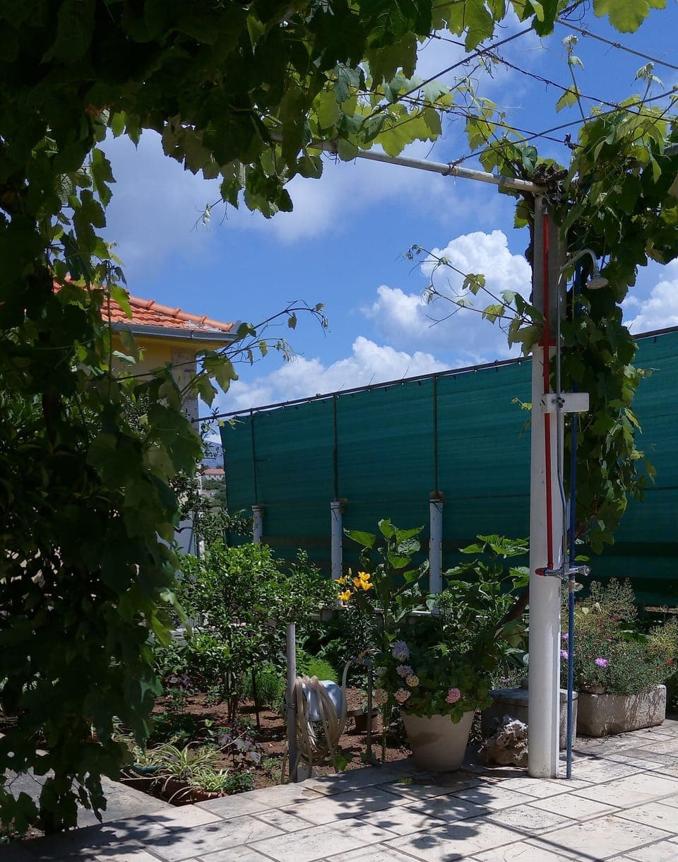 Apartment (Two-Bedroom Apartment with Balcony) | Garden