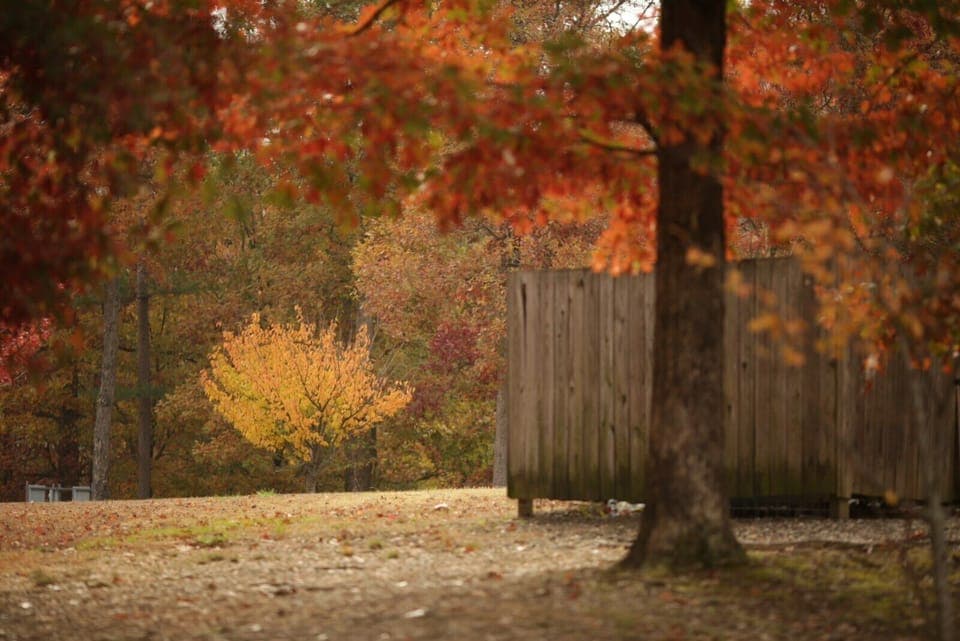Cabin sits in a park like setting