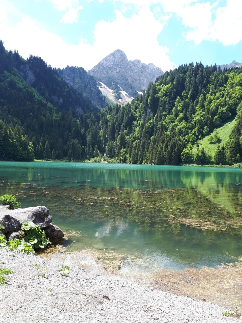 Lac la plagne - local attraction