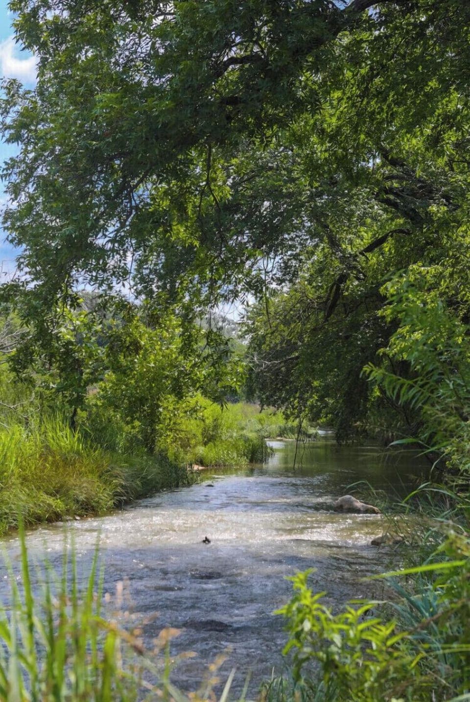 San Saba River below the house. Easy walking distance.