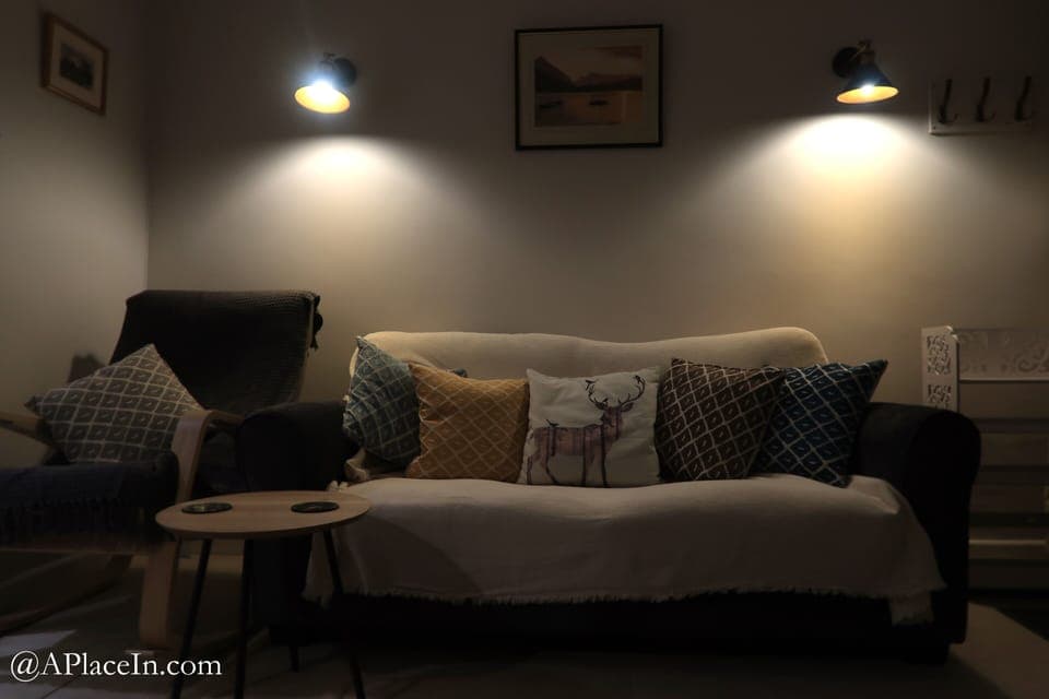 Comfortable living room with sofa bed