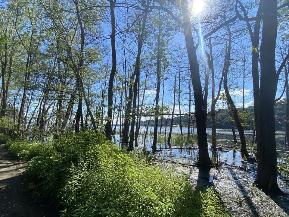 Bike/ Walking trails 