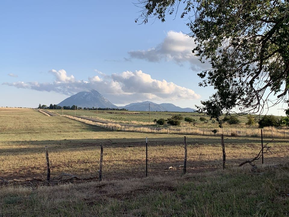 View to the South