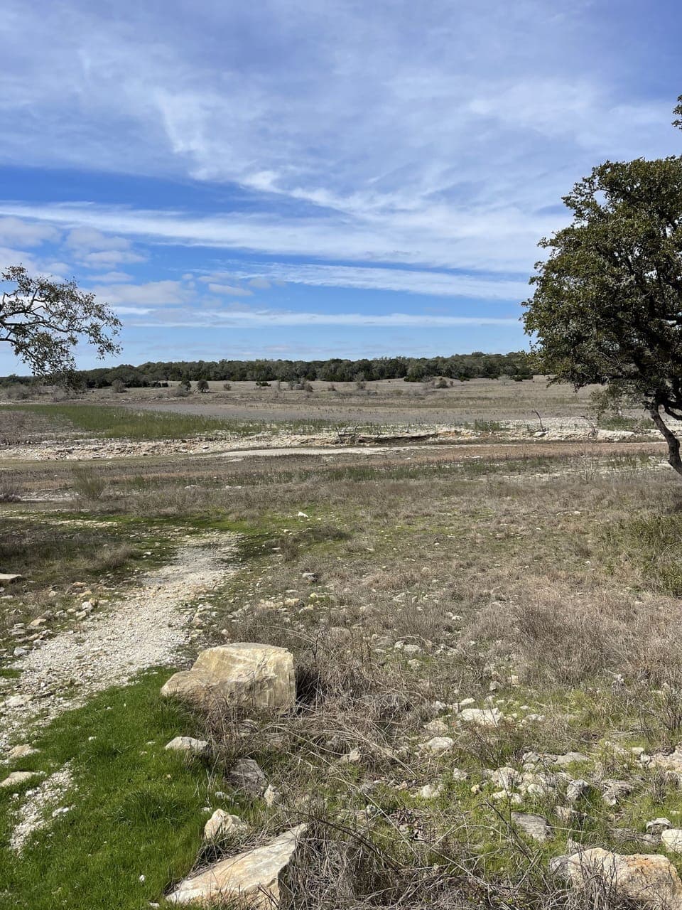 Low lake levels are limiting water access from Millie's