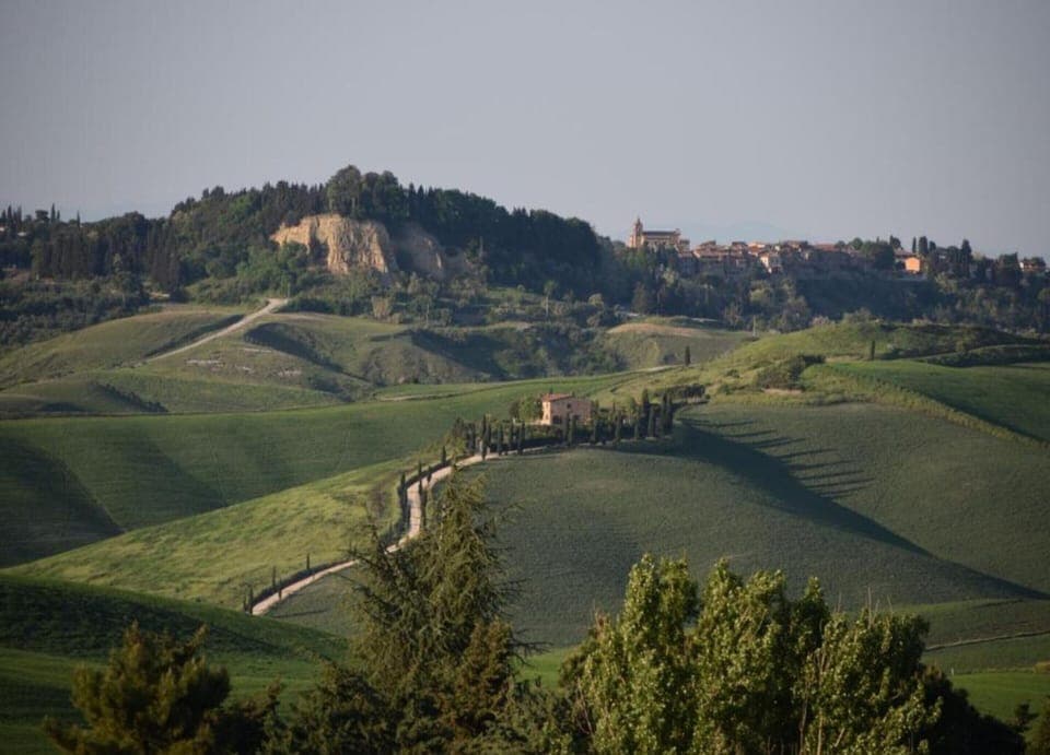 House | View from property