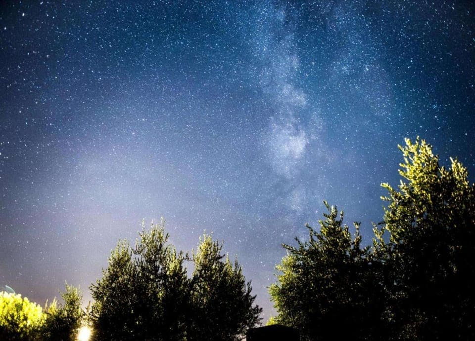 House | View from property