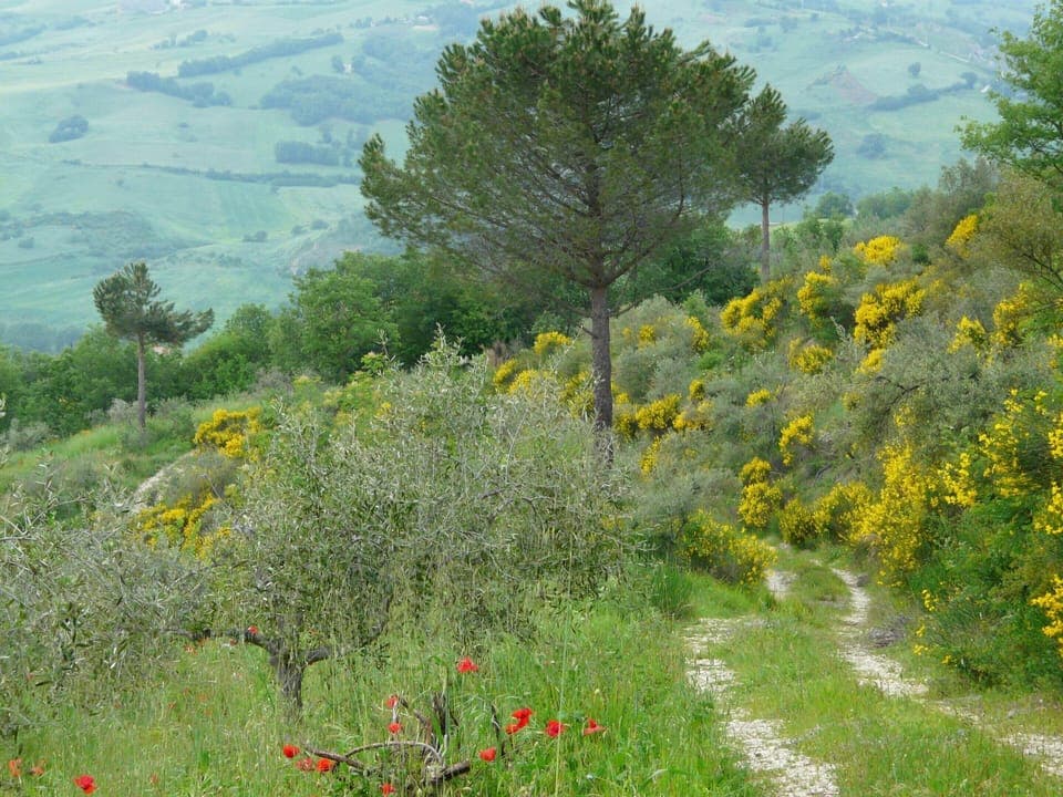 Apartment | View from property