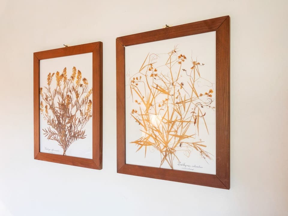 House | Interior detail